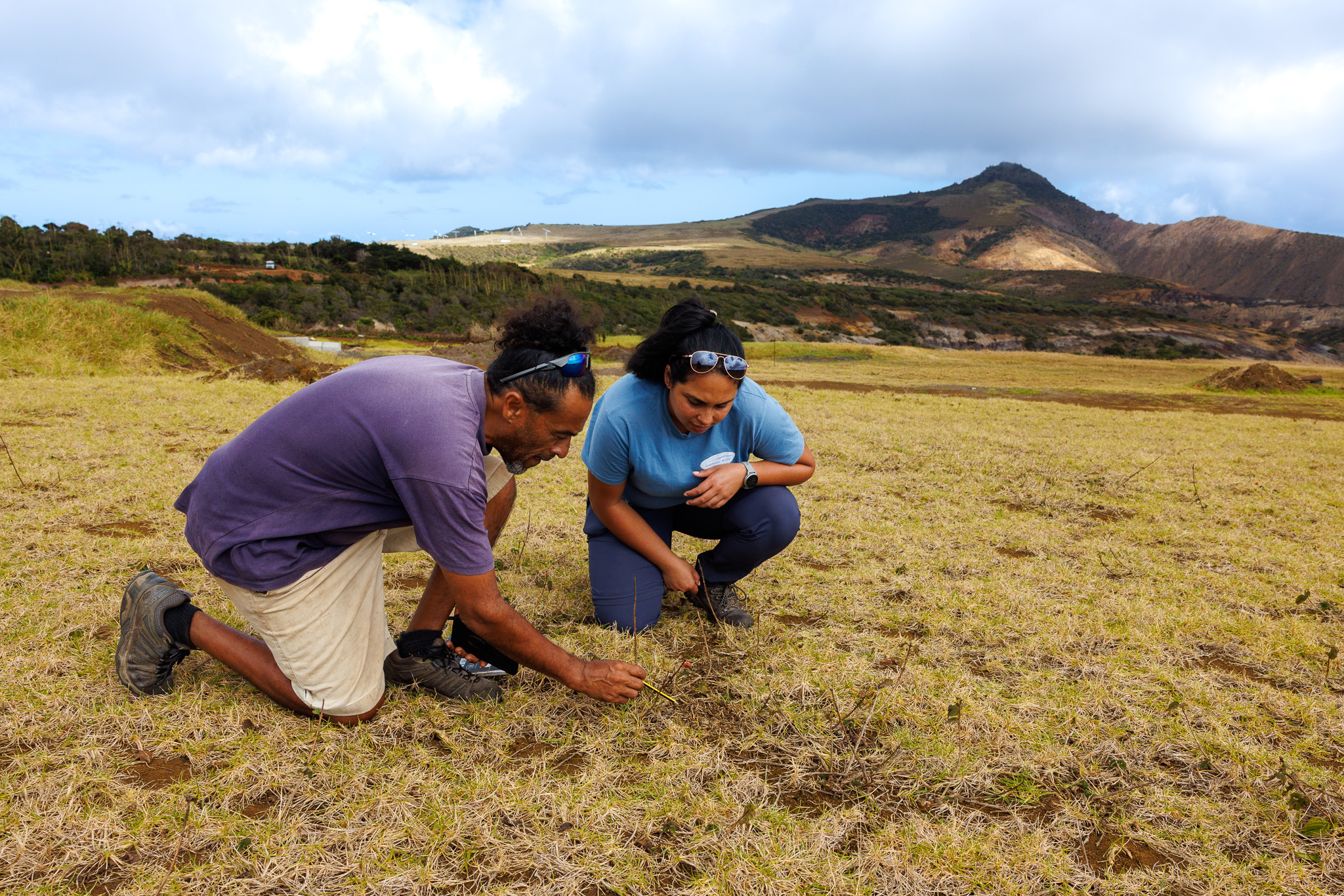Two people harvesting land